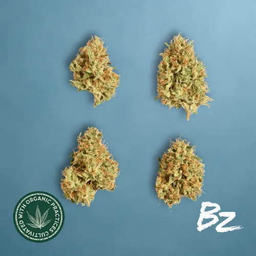 Legend Of Jack -  cannabis product