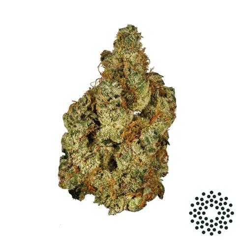Garlic Cookies Flower by Trulieve - 3.500g Baked