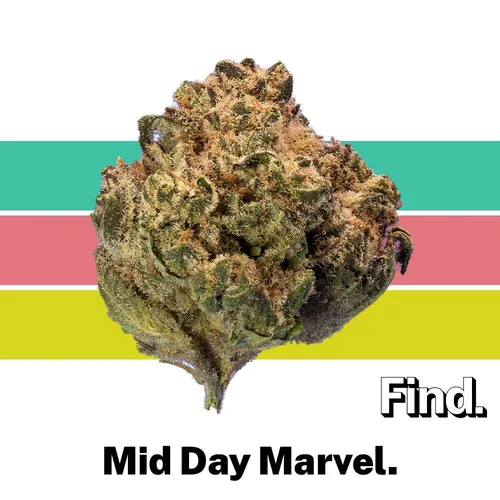 Mid Day Marvel - 