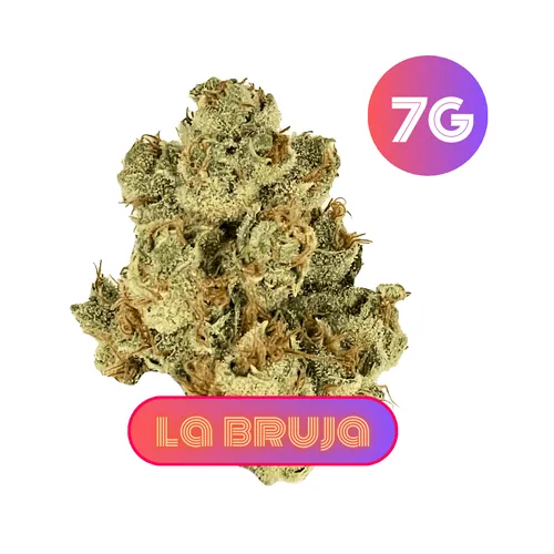 Lab Bruja Flower by GrowHealthy - 7.000g Whole