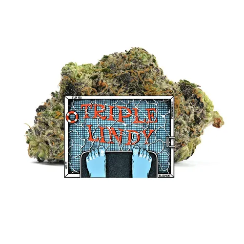 Triple Lindy from  product image
