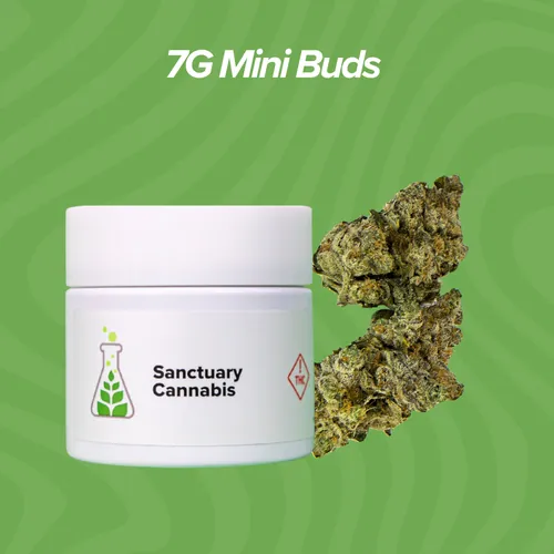 Strawnana Bread Mini Buds - 7g by Sanctuary Medicinals - 7.000g Unknown