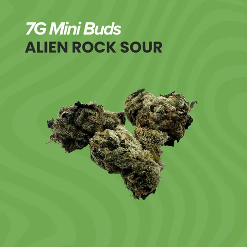 7g Mini Buds Alien Rock Sour by Sanctuary Cannabis - 7.000g Whole