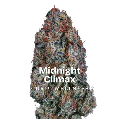 Midnight Climax Exclusive Flower from  product image