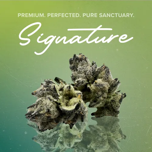 Hawaiian Lion Signature - 3.5g from  product image