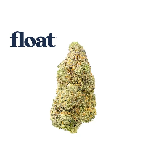  from  product image