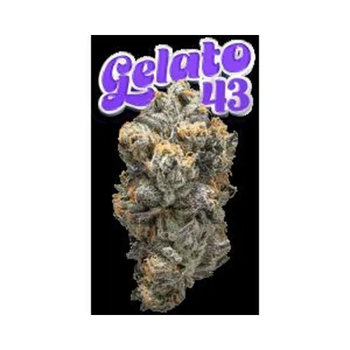 Gelato #43 Eighth by The Flowery - 3.500g Whole