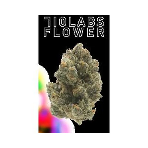 Gg4 - 