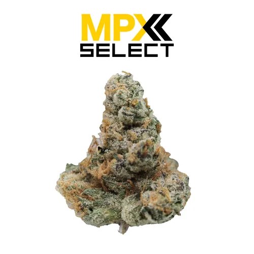 MPX Skunkmas Flower from  product image