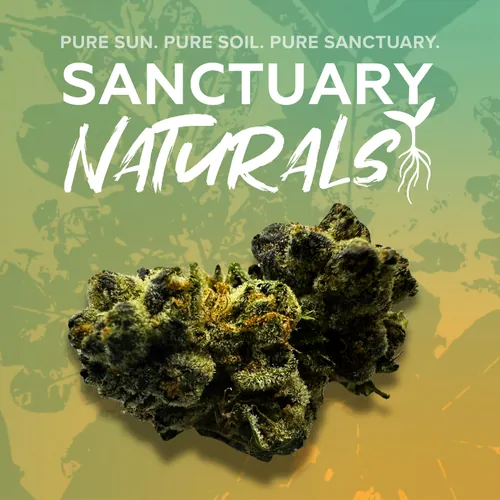 Sanctuary Naturals 3.5g Space Center from  product image