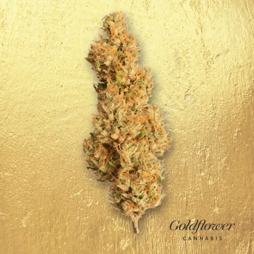 Island Glow by Goldflower - 3.500g Whole