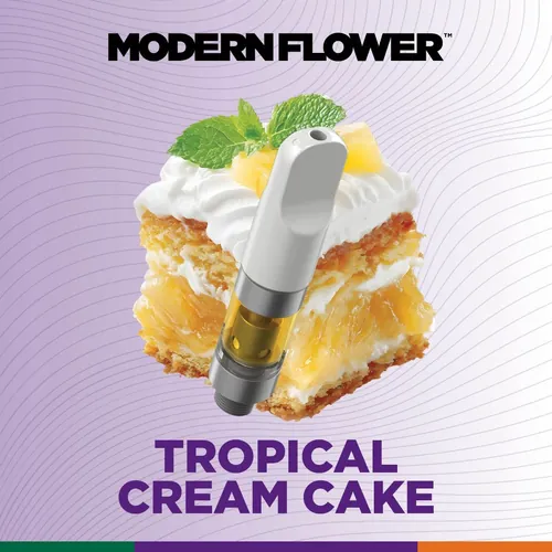 Tropical Cream Cake - 