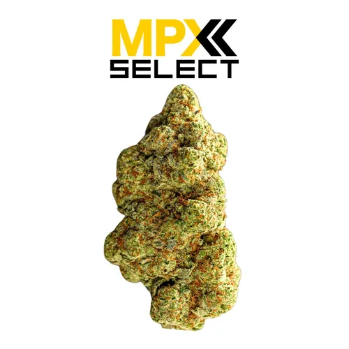 {'strain': 'Jack Herer', 'strain_type': 'Sativa', 'company': 'GrowHealthy', 'brand': 'MPX Select Flower', 'price': Decimal('35.00'), 'regular_price': Decimal('50.00'), 'thc': Decimal('27.20'), 'cbd': Decimal('0.00'), 'terps': Decimal('0.00'), 'grams': Decimal('3.500'), 'dollars_per_thcg': Decimal('36.760'), 'dollars_per_g': Decimal('10.000'), 'product_format': 'Flower', 'product_sub_format': 'Whole', 'dispensary_cities': ['North Port'], 'main_url': 'https://growhealthy.com/product/mpx-select-jack-herer-flower/?retailer_id=4ab0a054-243f-4af3-8ba8-a54e181cc360', 'display_image_url': 'https://thchunter-images.s3.us-east-2.amazonaws.com/product_images/04d7cfc2-e7e8-4a76-a7f1-8a5016ad87a4.webp', 'id': 13511103, 'company_logo_file': 'Grow-Healthy.jpg', 'company__premium_company': True, 'company__name': 'GrowHealthy'}