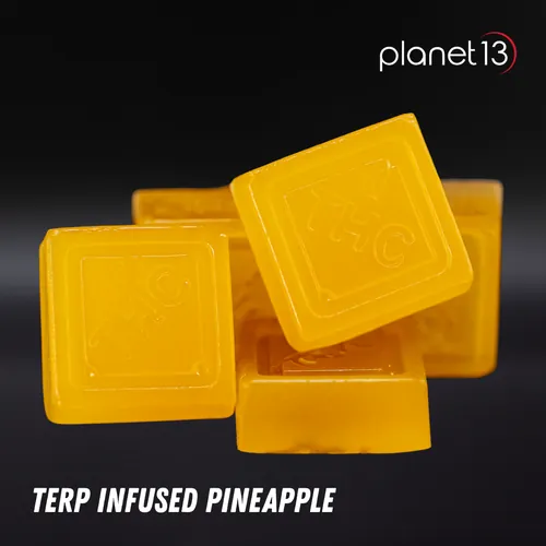 Terp. Inf. Pineapple Soft Chews 10pcs from  product image