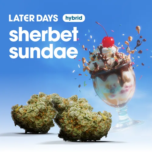 Sherbert Sundae Flower from  product image