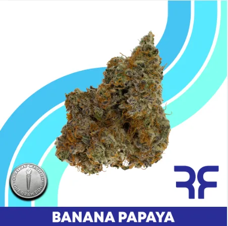Banana Papaya - 