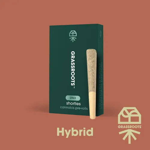 {'strain': 'Atomic Breath (H)', 'strain_type': 'Hybrid', 'company': 'Curaleaf', 'brand': 'Grassroots', 'price': Decimal('19.80'), 'regular_price': Decimal('33.00'), 'thc': Decimal('30.47'), 'cbd': Decimal('0.05'), 'terps': Decimal('0.00'), 'grams': Decimal('0.400'), 'dollars_per_thcg': Decimal('162.470'), 'dollars_per_g': Decimal('49.500'), 'product_format': 'Flower', 'product_sub_format': 'PreRoll', 'dispensary_cities': ['Fort Pierce'], 'main_url': 'https://curaleaf.com/shop/florida/curaleaf-dispensary-fort-pierce/menu//menu/pre-rolls-1523/hybrid-atomic-breath-h-packs-atomic-breath-h-5-pack--2g-19123', 'display_image_url': 'https://thchunter-images.s3.us-east-2.amazonaws.com/product_images/0678c676-4ac3-42f1-ad32-2e9e95e04a42.webp', 'id': 12178526, 'company_logo_file': 'curaleaf.jpg', 'company__premium_company': False, 'company__name': 'Curaleaf'}
