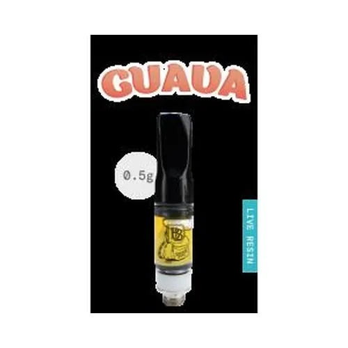 Guava - 