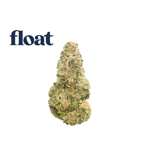 Space Case from  product image