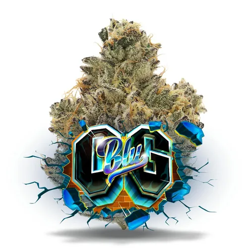 Blu OG - Premium Flower by Jungle Boys - 3.500g Whole