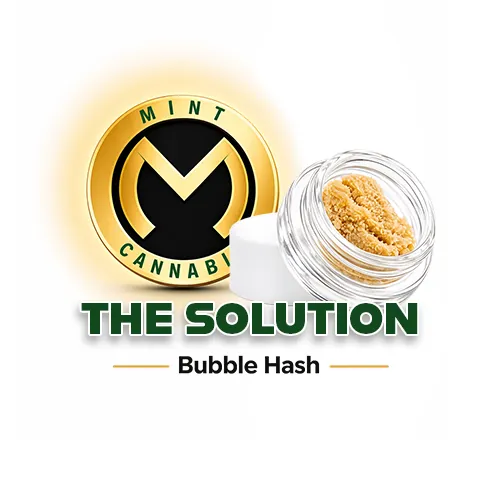Mint Platinum Live Bubble Hash 1g - The Solution by Mint Platinum - 1.000g Bubble Hash