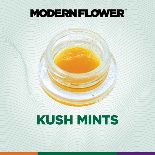 Kush Mints Live Budder by Modern Flower - 2.000g Budder