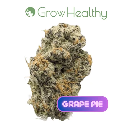image of Grape Pie Flower
