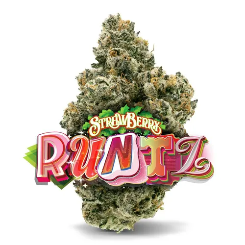 Strawberry Runtz - 