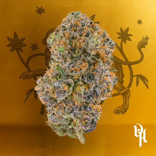 Cherry Noir - #1 by Doghouse - 3.500g Whole