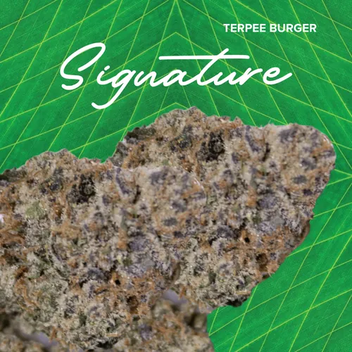 Terpee Burger Signature - 3.5g by Sanctuary Medicinals - 3.500g Whole