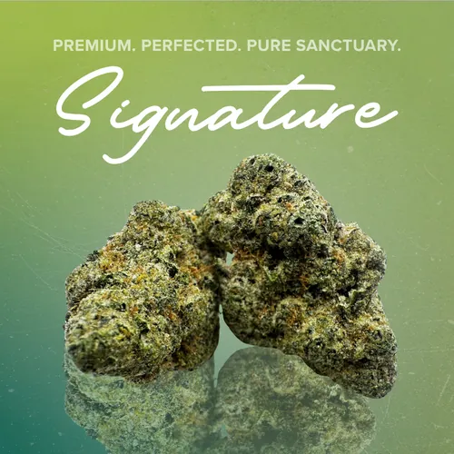 Lemon Ztraws Signature - 3.5g by Sanctuary Signature - 3.500g Whole
