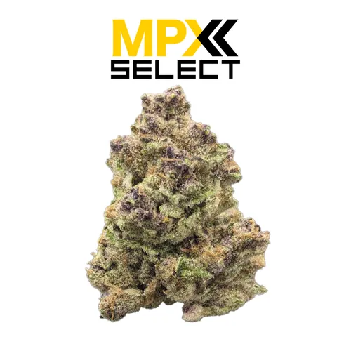 MPX Amaretto Sour Flower from  product image