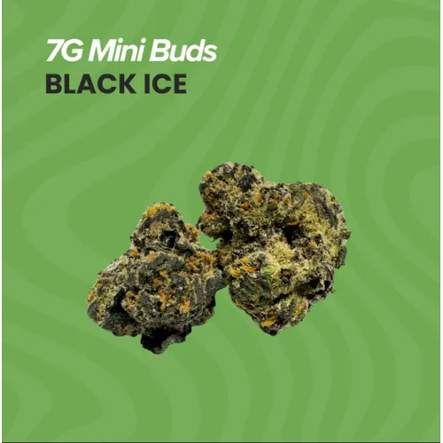 Mini Buds  Black Ice - 