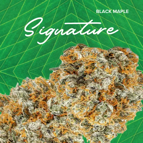 Signature Black Maple