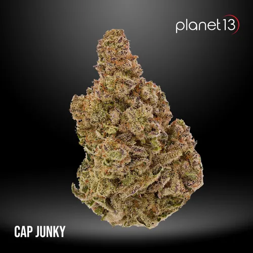 Cap Junky 3.5g Jar Tier 1 from  product image
