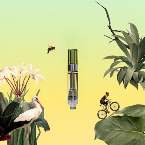 Everglade Haze Cartridge by Moods - 1.000g Cartridge