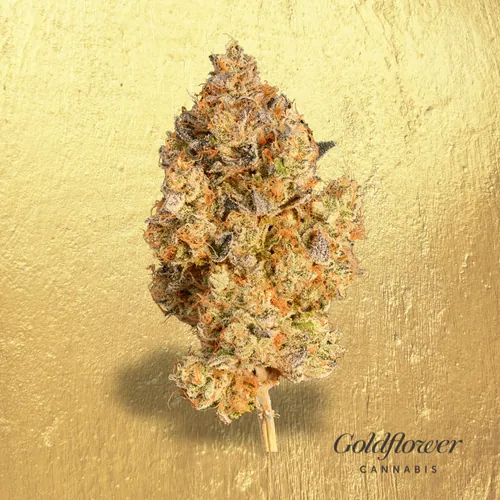Chem 91 x Dosidos from  product image