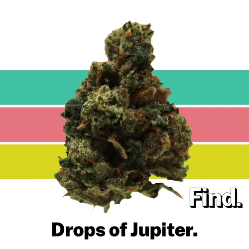 Drops Of Jupiter - 