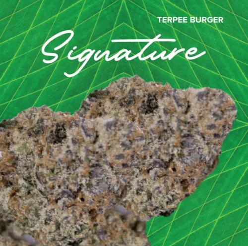 Signature  Terpee Burger - 