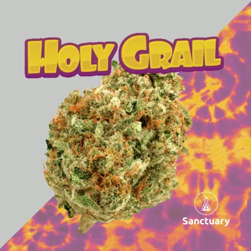 Holy Grail - 
