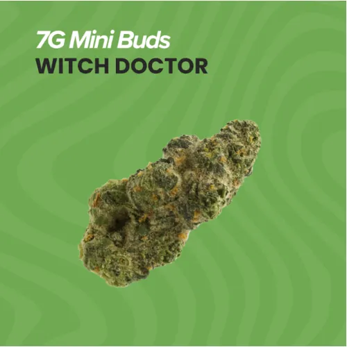 Mini Buds  Witch Doctor - 