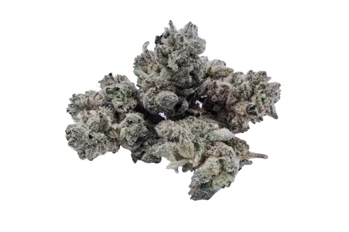 Gorilla Glue - 