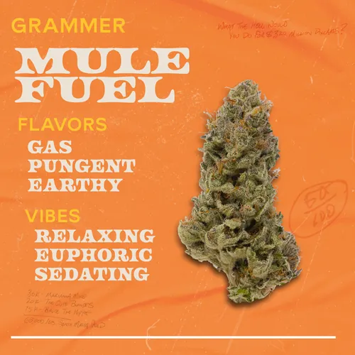 Mule Fuel - 1g Grammers Flower from  product image