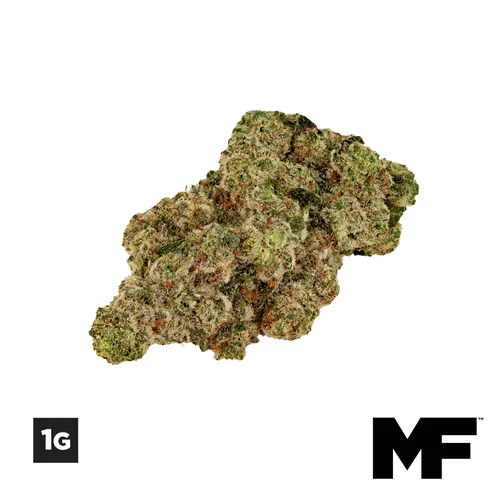 1G Papaya Drip Flower from  product image