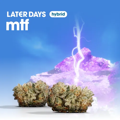 MTF Smalls by Later Days - 7.000g Smalls