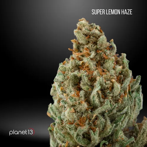  Super Lemon Haze  -  cannabis product