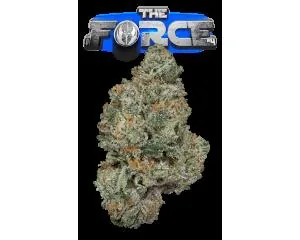 image of The Force #4 Eighth