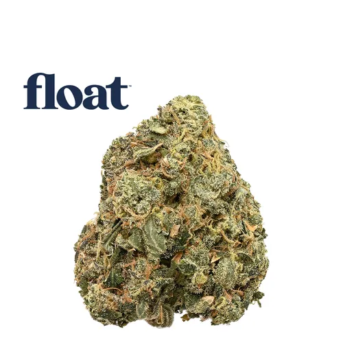 Golden Ambrosia from  product image