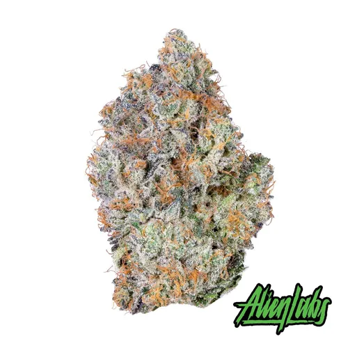 BKSatellite - 