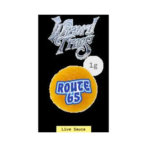 Route 65 - 